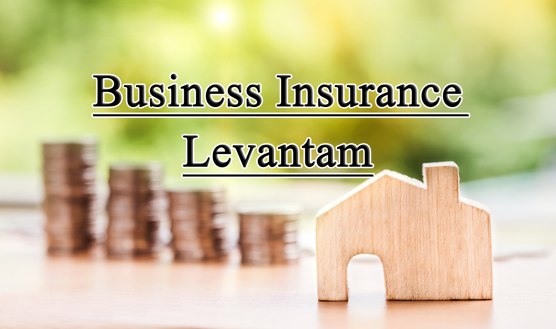 Business Insurance Levantam