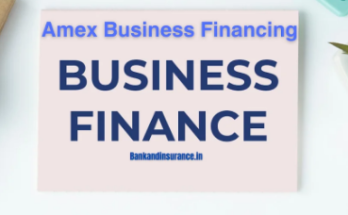 Amex business loans
