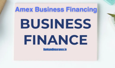 Amex business loans